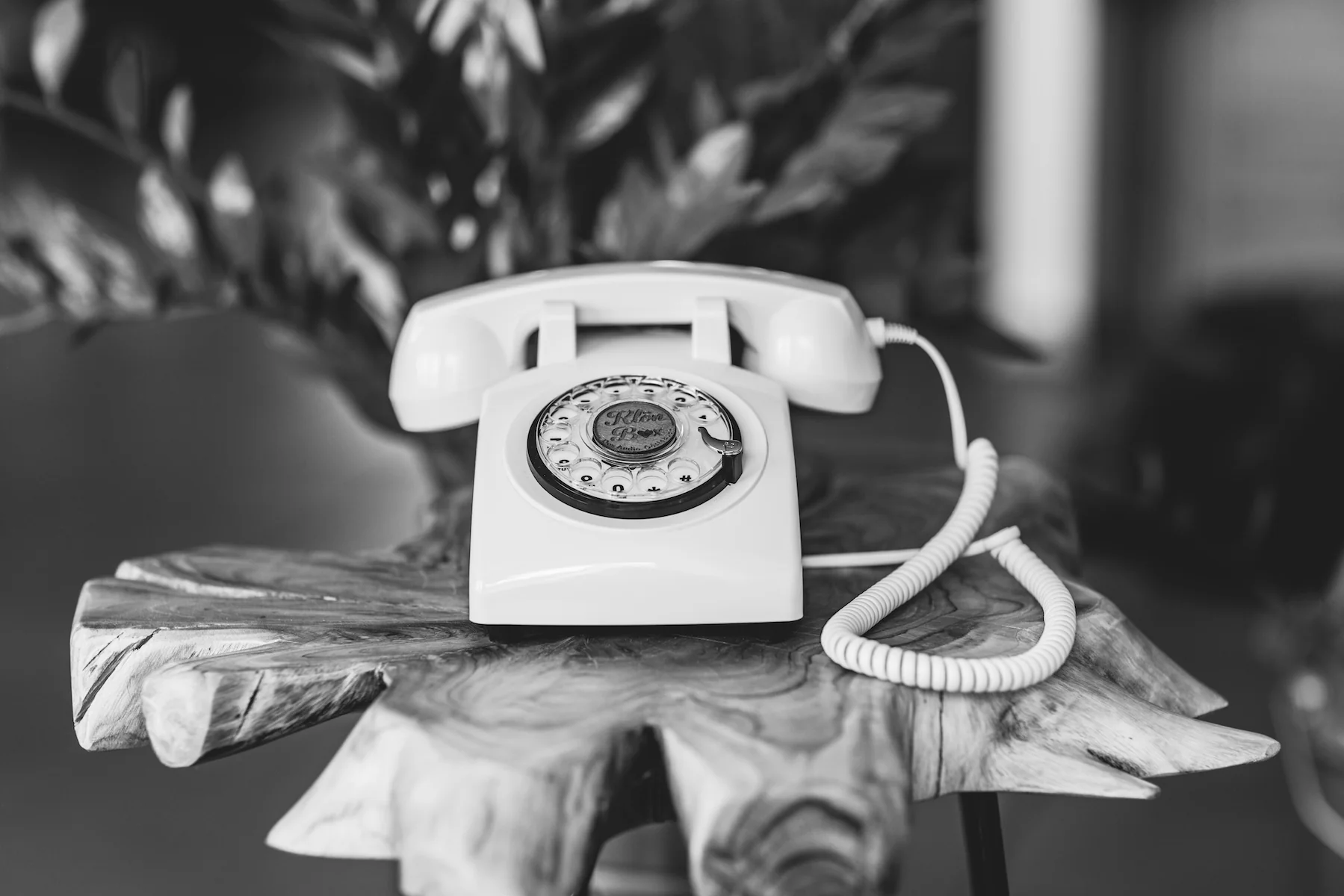 Basic Audio Gästebuch Vintage